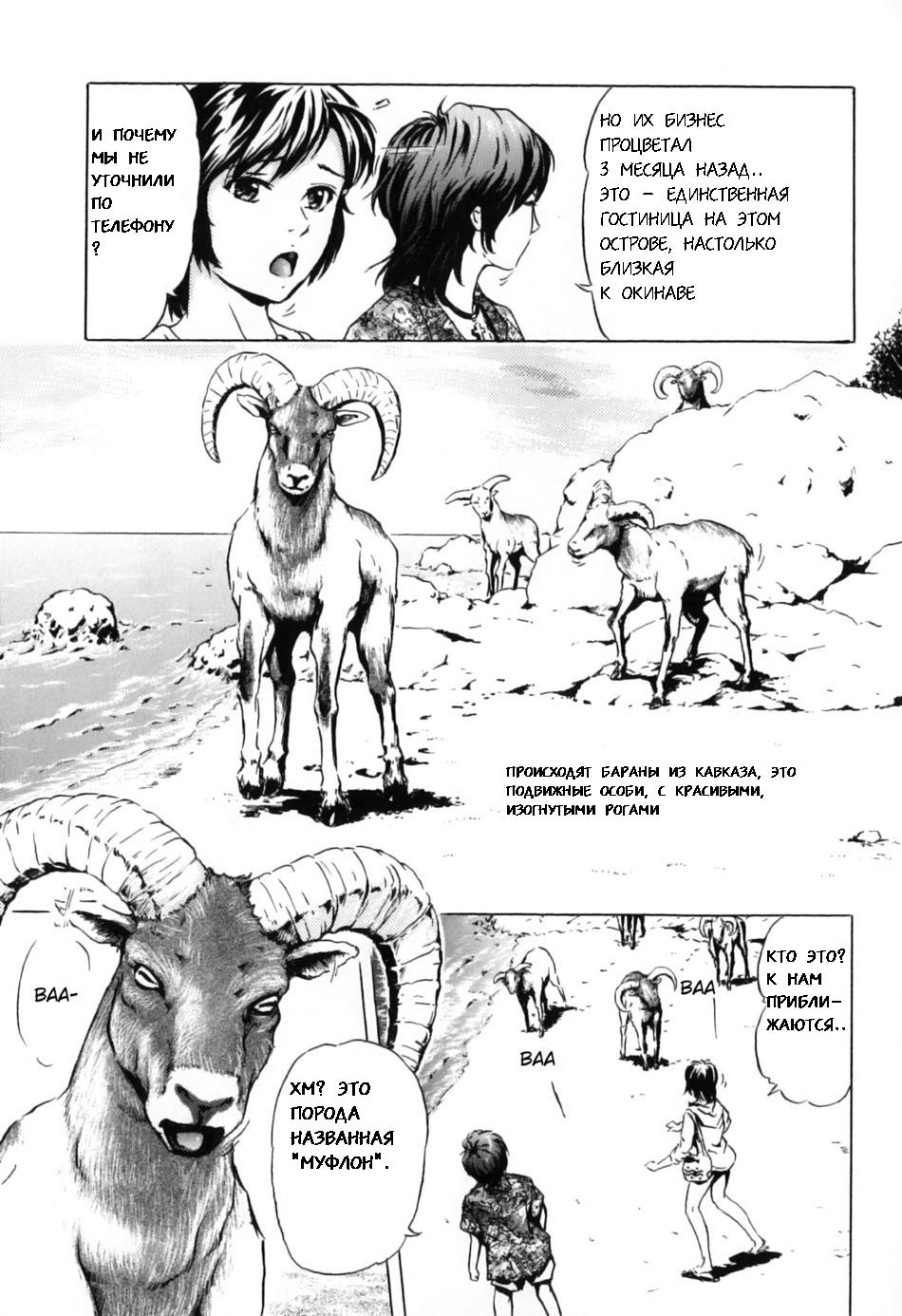 Читаем Хентай манга THE ANIMAL SEX ANTHOLOGY - Mouflon of the South -  Kemono For Essential онлайн на русском. Глава 1 - AllHentai